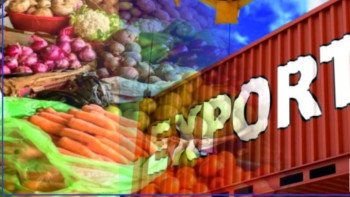 Фотография к новости: Қазақстан ауыл шаруашылығы өнімдерінің  экспорты 2,5 млрд долларды құрады