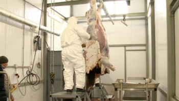 Фотография к новости: 2019 жылы өткен жылмен салыстырғанда мал көп сойылған