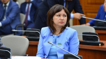 Фотография к новости: Депутат электр энергиясына арналған тарифтерді теңестіруді сұрады