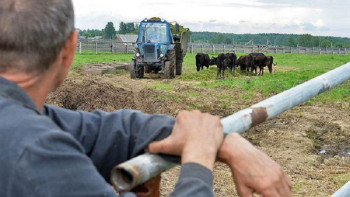 Фотография к новости: Атырауда кəсіп ашуға ниеттілер көп