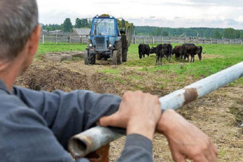 Фотография к новости: Атырауда кəсіп ашуға ниеттілер көп