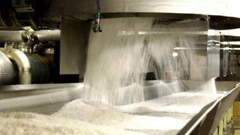 Фотография к новости: Жамбыл және Павлодар облыстарында қант зауыты салынады  ﻿