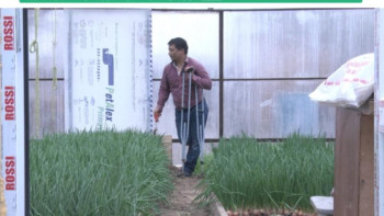 Фотография к новости: Өз қолыңмен өсірген өнімнен пайда табу үлкен қуаныш – кәсіпкер