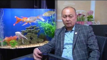 Фотография к новости: Қордайдағы төбелес: Жалпақтөбеліктер жәрдемдесуге әзір