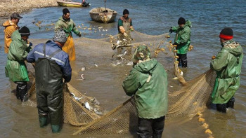 Фотография к новости: СТ-1 сертификаты балықшыларды əуре-сарсаңға түсіреді