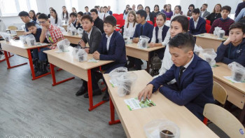 Фотография к новости: Ауыл оқушылары 1000 ағаш отырғызды