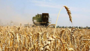 Фотография к новости: Бәрі керісінше: Төлеутай Рахымбеков аграрлық саладағы мәселелерді жайып салды