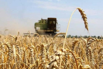 Фотография к новости: Бәрі керісінше: Төлеутай Рахымбеков аграрлық саладағы мәселелерді жайып салды