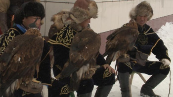 Фотография к новости: Қызылжарда құсбегілердің республикалық чемпионаты басталды