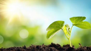 Фотография к новости: Экокарта арқылы экологиялық проблеманы көтеріңіз ﻿