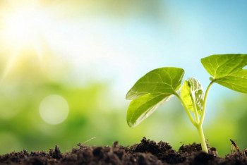 Фотография к новости: Экокарта арқылы экологиялық проблеманы көтеріңіз ﻿