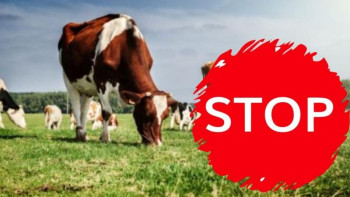 Фотография к новости: Ауыл шаруашылығы министрлігі мал экспортын тоқтатады