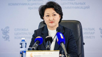 Фотография к новости: Тек 30%-ын ғана қанағаттандырады: министр ашығын айтты