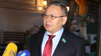 Фотография к новости: Депутат Мәдениет және спорт министрлігін екіге бөлу керек деген ұсыныс айтты