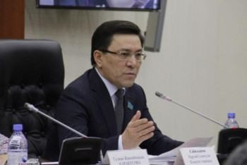 Фотография к новости: Одан мұрты қисайып қалмайды: Депутат компанияларға міндетті аудит не үшін керектігін айтты