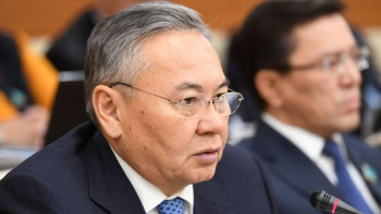 Фотография к новости: Аудиторлық қызмет жартылай мемлекеттің қызметін атқарып отыр – депутат