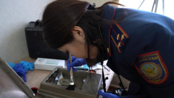 Фотография к новости: Криминалистиканың қыр-сырын меңгерген бойжеткен