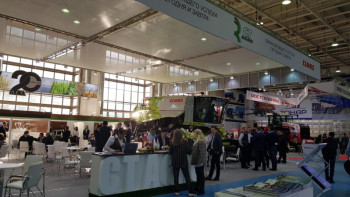 Фотография к новости: Қазіргі көрмелердің тиімділігі төмен – маман ﻿