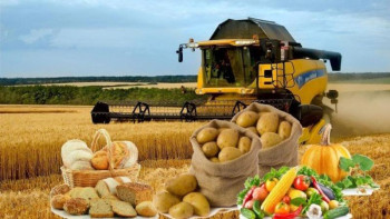 Фотография к новости: Агроөнеркәсіп өнімдерін тасымалдауға шектеу қойылмайды – министр