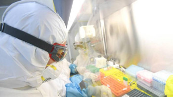 Фотография к новости: Алматыда коронавируспен күреске арнайы шот ашылды