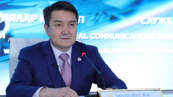 Фотография к новости: Вице-министр: Дағдарыстың алдын алуға 5,9 трлн теңге бөлінеді