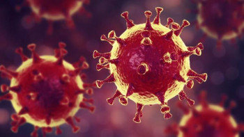 Фотография к новости: Еліміз бойынша сырқаттар саны 550-ден асты