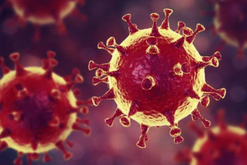 Фотография к новости: Еліміз бойынша сырқаттар саны 550-ден асты