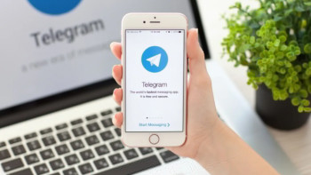 Фотография к новости: 42 500: әр аймаққа қатысты жеке-жеке 18 телеграм-бот ашылды