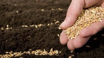 Фотография к новости: Еліміздің егіс алқаптарына 2,5 млн тонна тұқым себілді