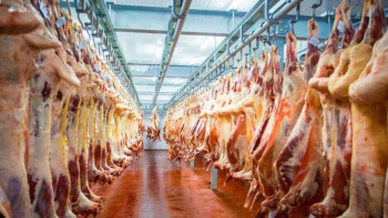 Фотография к новости: Әулиеаталықтар жеті елге ет экспорттайды