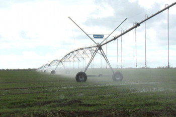 Ертіс өңірінде арзандатылған дизель отынының бағасы төмендеді