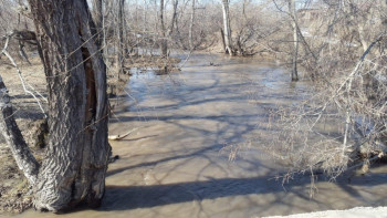 Фотография к новости: Шығыс Қазақстанда өзен-көлдердің ернеуі бақылауда – ТЖД