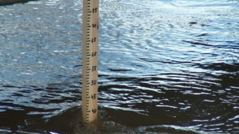 Фотография к новости: СҚО ауылдарында су тасқынының қаупі сейілді 