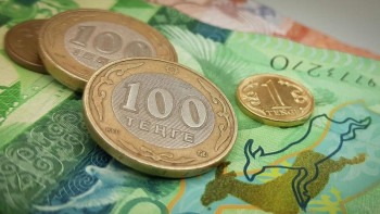 Фотография к новости: 42 500 теңге: Халыққа кез келген көмек артық етпейді – көпбалалы ана