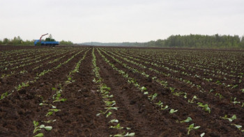 Фотография к новости: Сыр өңірінде көктемгі дала жұмыстары қызу жүруде