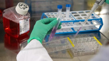 Фотография к новости: Елордада 12 752 адам экспресс тестілеуден өтті