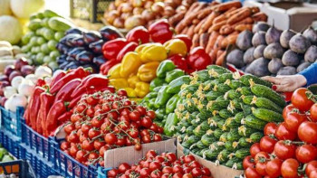 Фотография к новости: Елімізде азық-түлікпен қамтамасыз ету бойынша ұлттық желі құрылады 