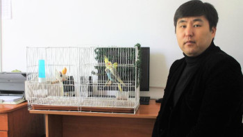 Фотография к новости: Хоббиін кәсіпке айналдырған бухгалтер