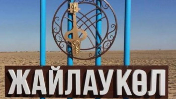 Фотография к новости: Төменгі Шудың бойында толайым тірлік көп