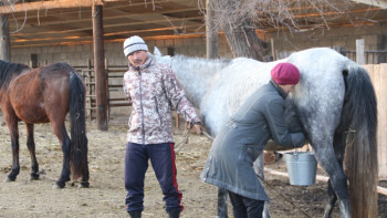 Фотография к новости: "Сауын саусаң бие сау, боз қырау түспей, суалмас" 