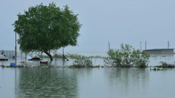 Фотография к новости: Әлі 7 ауылды су басуы мүмкін – Өмірзақ Шөкеев 
