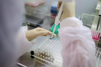 Фотография к новости: COVID-19. Министр қай өңірлерде індеттің өршіп тұрғанын айтты