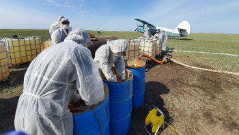 Фотография к новости: Павлодарда Ертіс өзенінің жайылымы әуеден өңделе бастады
