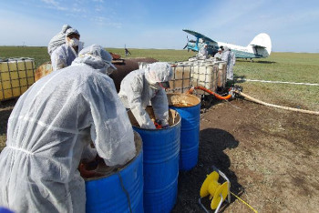 Фотография к новости: Павлодарда Ертіс өзенінің жайылымы әуеден өңделе бастады
