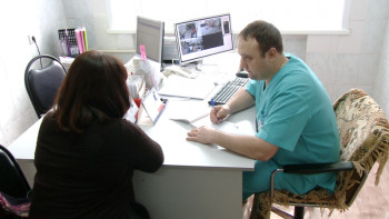 Фотография к новости: МӘМС: Ертіс өңірі халқының басым бөлігі сақтандырылған