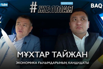 Фотография к новости: #Желмая. Тайжанның тартысы. Пияздан пандемияға дейін