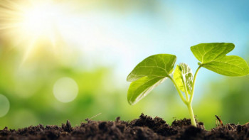 Фотография к новости: Елімізде экологиялық қоғам дамып келе жатыр – вице-министр