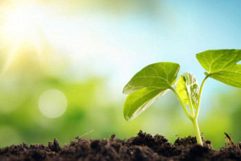 Фотография к новости: Елімізде экологиялық қоғам дамып келе жатыр – вице-министр