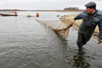 Фотография к новости: ШҚО-ның 18 су айдынында балық аулауға тыйым салынған