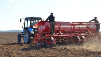 Фотография к новости: Министр: Биыл 22,5 млн гектар егін егіледі